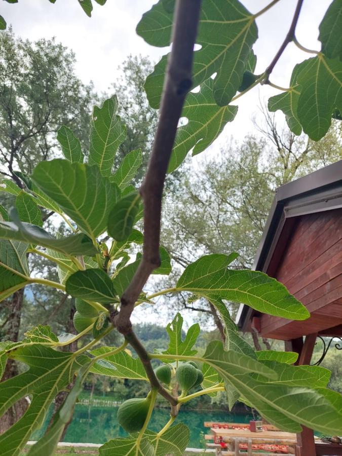 Bosanska Kuca Emina * Bihac